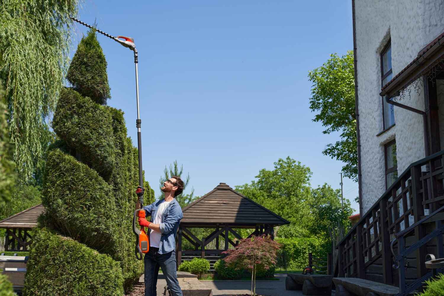 Best Tree Branch Trimming  in River Road, NC